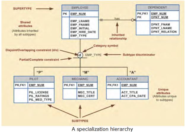 Specialization Hierarchy